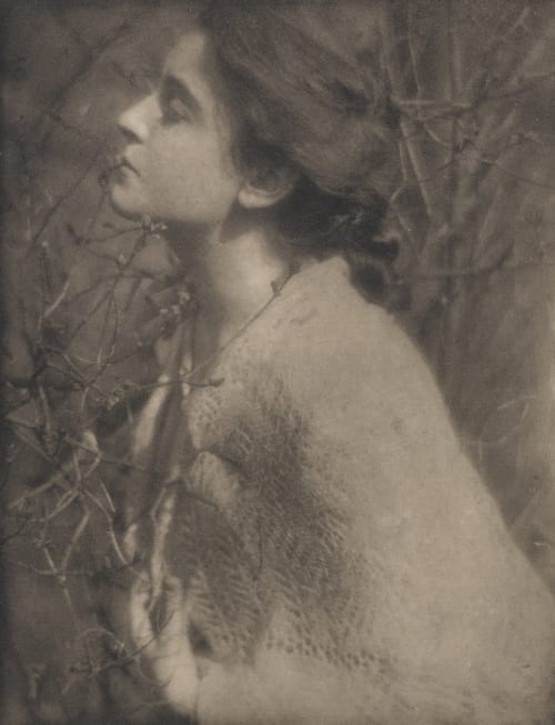 Lilac Buds; Mrs. S. Steichen, Edward  (American, 1879-1973)