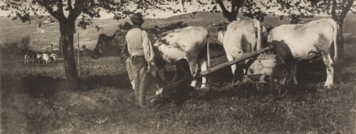 Ploughing Team Annan, James Craig  (Scottish, 1864-1946)