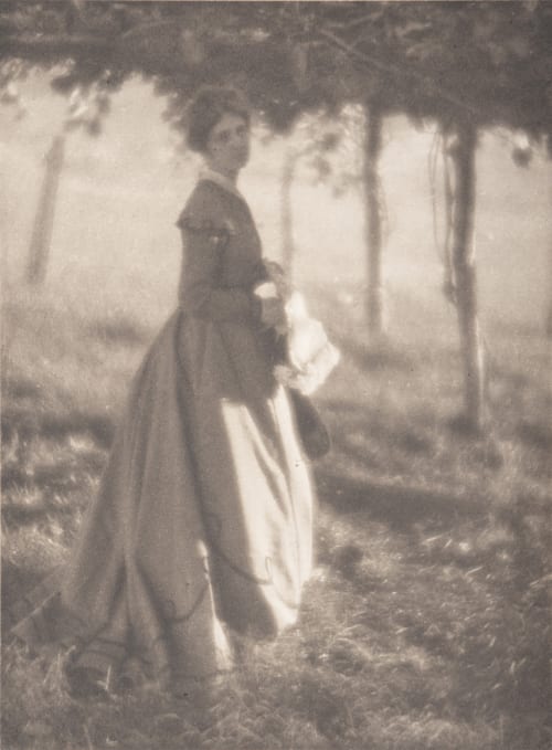 The Arbor White, Clarence H.  (American, 1871-1925)