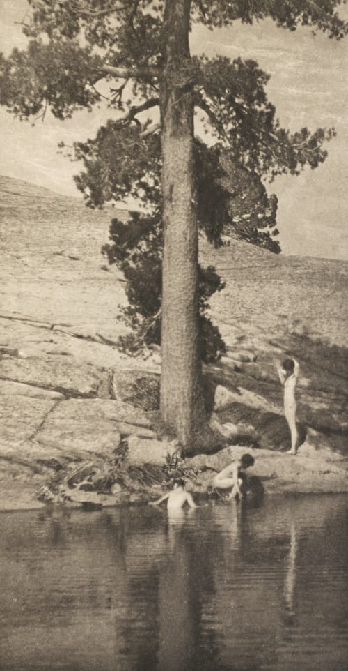 The Pool Brigman, Annie A.  (American, 1869-1950)