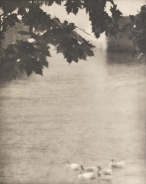 Ducks, Lake Como Struss, Karl F.  (American, 1886-1981)