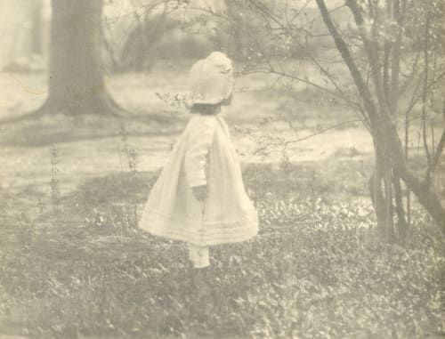 Spring Stieglitz, Alfred  (American, 1864-1946)