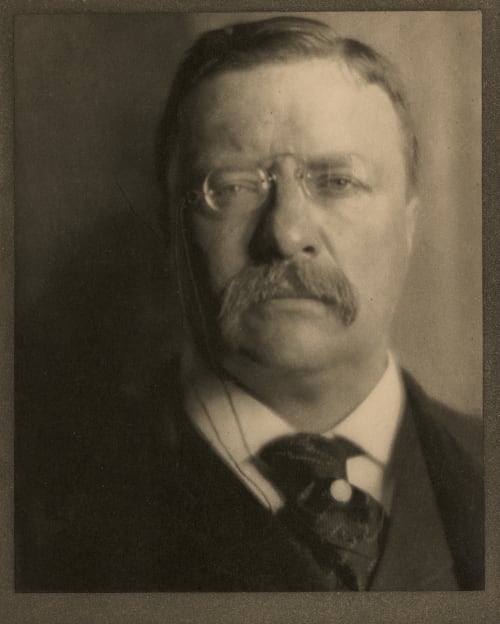 Theodore Roosevelt, The White House Coburn, Alvin Langdon  (American, 1882-1966)