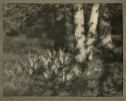 The Garden by Moonlight Coburn, Alvin Langdon  (American, 1882-1966)