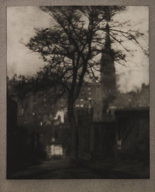 A Tree in Greyfriars Churchyard, Edinburgh Coburn, Alvin Langdon  (American, 1882-1966)