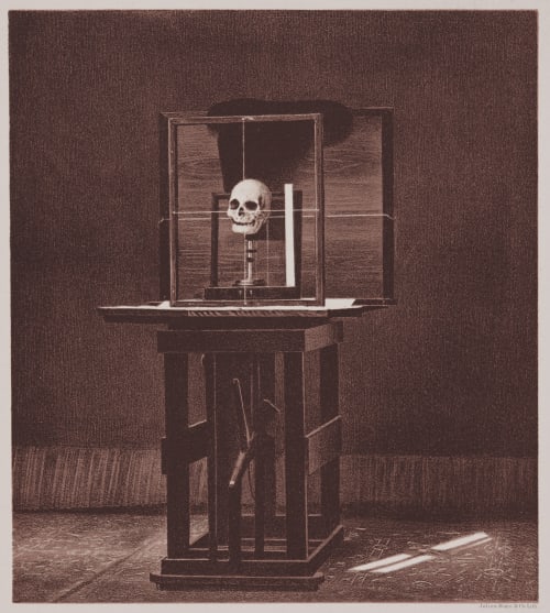 Arrangement for Taking Composite Photographs of Skulls, Photograph No. 1 Bien, Julius  (American, 1826-1909)