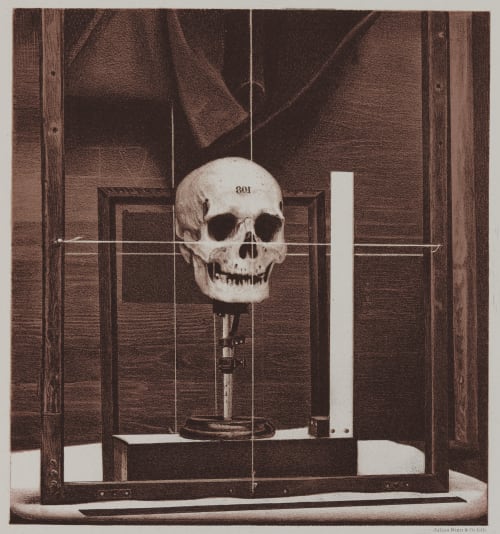 Arrangement for Taking Composite Photographs of Skulls, Photograph No. 1 Bien, Julius  (American, 1826-1909)