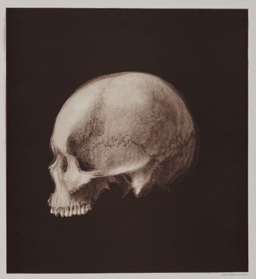 Arrangement for Taking Composite Photographs of Skulls, Photograph No. 1 Bien, Julius  (American, 1826-1909)