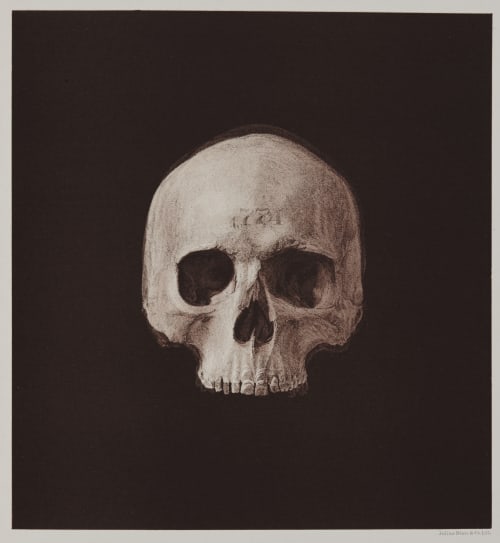 Arrangement for Taking Composite Photographs of Skulls, Photograph No. 1 Bien, Julius  (American, 1826-1909)