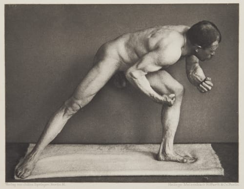 Tafel 12 Curschmann, Dr. H.  (German, 1846-1910)