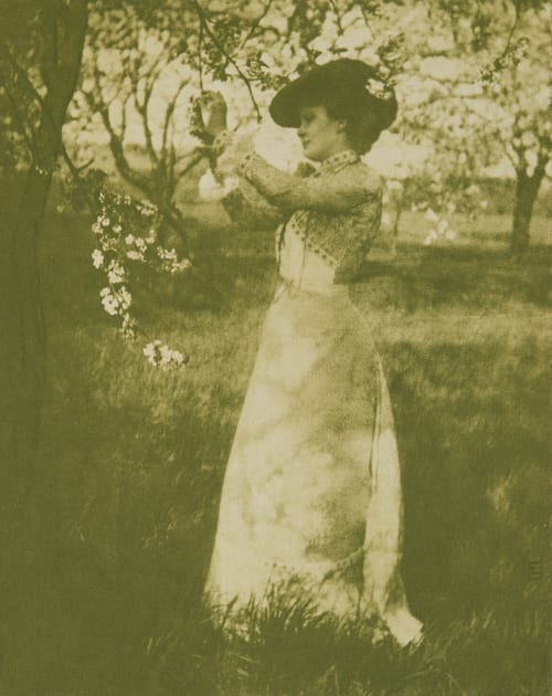 Untitled Erfurth, Hugo  (German, 1874-1948)