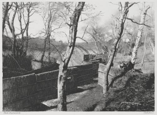 Wildfowl Decoy at Fritton. Screens of Pipe. Davies, G. Christopher  (British, 1849-1922)