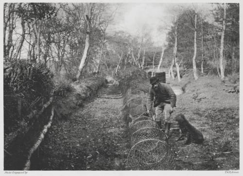Wildfowl Decoy at Fritton. Purse Ned at end of Pipe. Davies, G. Christopher  (British, 1849-1922)