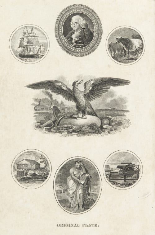 Original Plate 