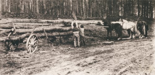 Schwere Arbeit Brandt, Ulrich 