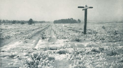 Winterheide Linde, Dr. R. 