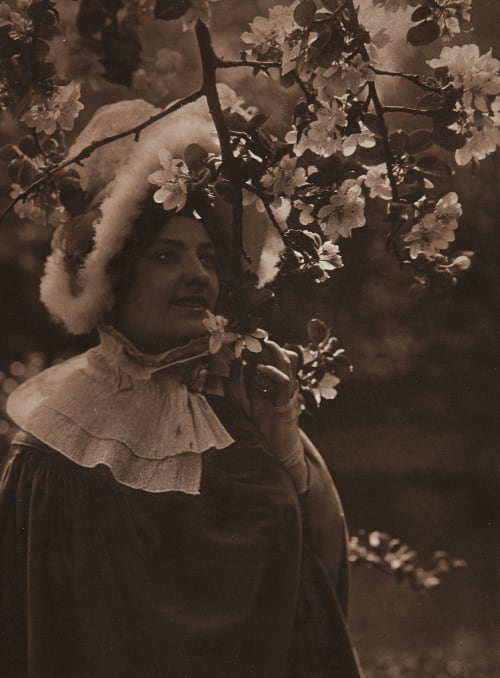 La Branche Fleurie Puyo, Constant  (French, 1857-1933)