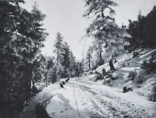 Wintertag in St. Moritz Main, Mrs. E  (British)