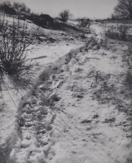 The Path through the Sheep Pasture Eickemeyer, Rudolf  (American, 1862-1932)