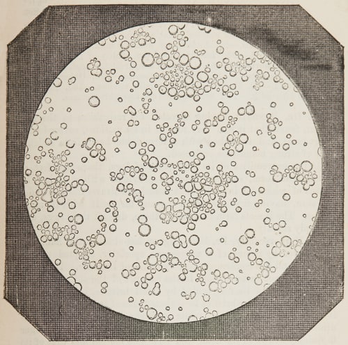 Fig. 40 – Thin Disk of Cow’s Milk Donné, Alfred  (French, 1801-1878)