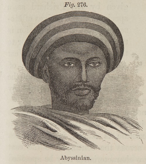 Fig. 276. Abyssinian Draper, John William  (American, 1811-1882)