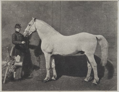 Oussatch, Trotteur, Delton, Louis Jean  (French, 1807-1891)