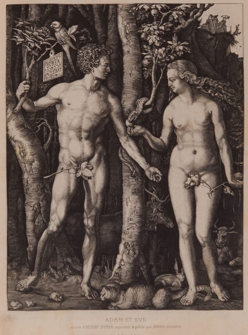 Adam et Eve Dürer, Albrecht  (German, 1471-1528 )