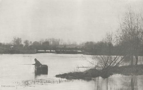 Plate XVII Field’s Weir, Near Rye House Emerson, Peter Henry  (British, 1856-1936)