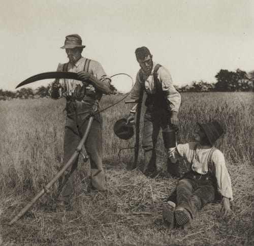 In The Barley Harvest Emerson, Peter Henry  (British, 1856-1936)