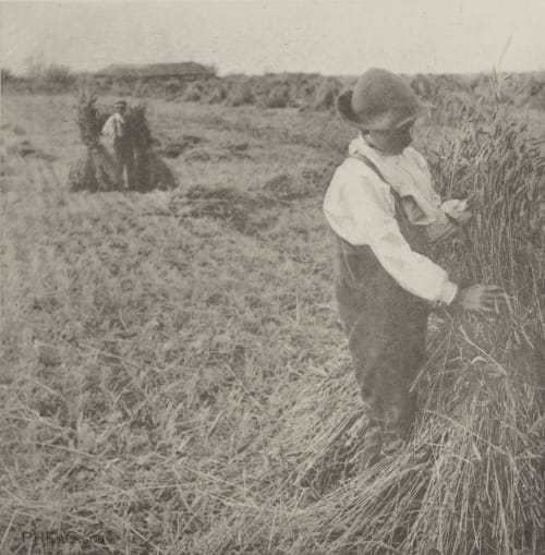 Shocking Corn (Norfolk Marshes) Emerson, Peter Henry  (British, 1856-1936)