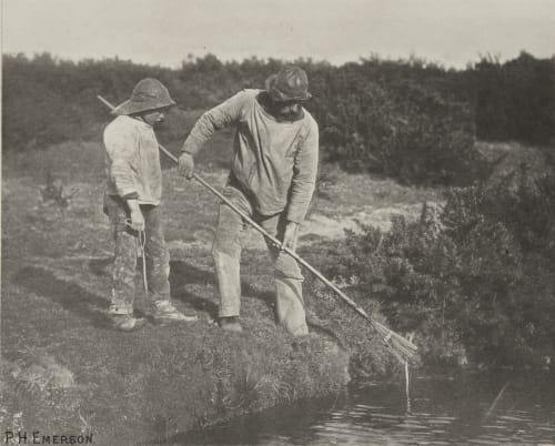 Eel-Picking in Suffolk Waters Emerson, Peter Henry  (British, 1856-1936)
