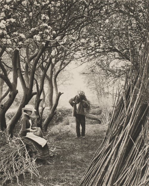 Untitled Emerson, Peter Henry  (British, 1856-1936)