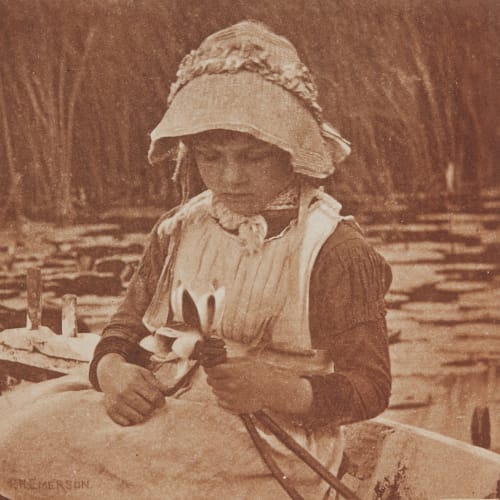 Flowers of the Mere Emerson, Peter Henry  (British, 1856-1936)