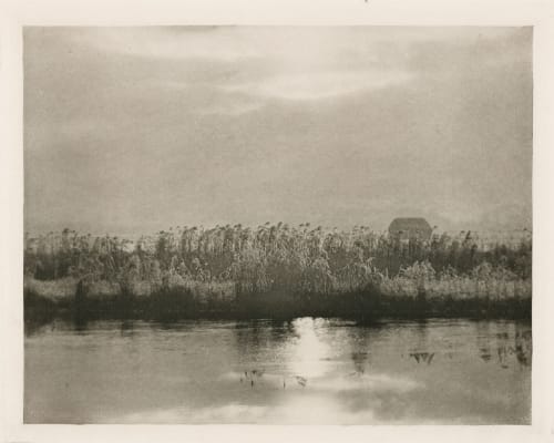 Rime Crystals Emerson, Peter Henry  (British, 1856-1936)