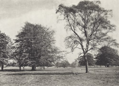 The Park. From the River Bank Annan, James Craig  (Scottish, 1864-1946)