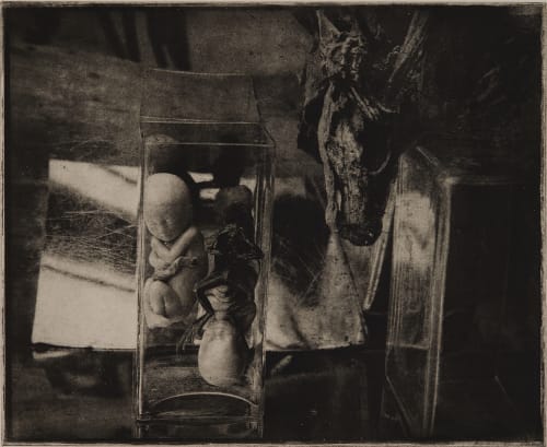 Untitled Faure, Hendrik  (German, b.1951)