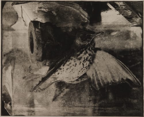Untitled Faure, Hendrik  (German, b.1951)