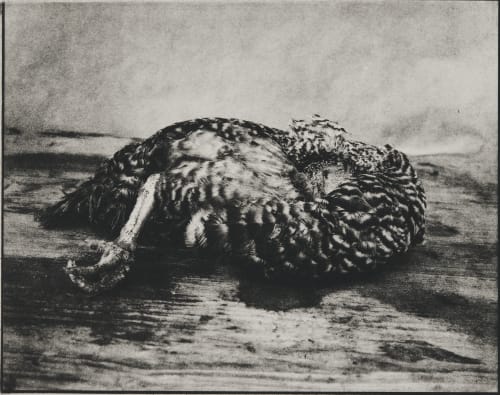 Untitled Faure, Hendrik  (German, b.1951)