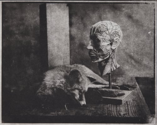 Untitled Faure, Hendrik  (German, b.1951)