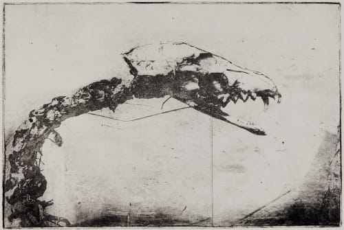 Untitled Faure, Hendrik  (German, b.1951)