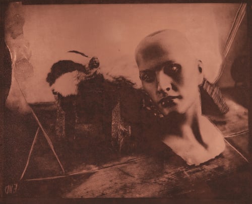 Untitled Faure, Hendrik  (German, b.1951)
