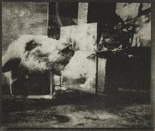 Untitled Faure, Hendrik  (German, b.1951)