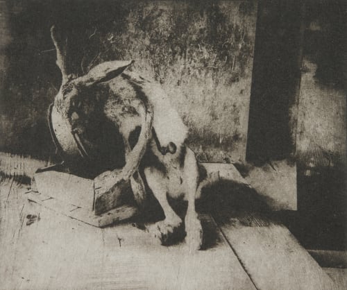 Untitled Faure, Hendrik  (German, b.1951)
