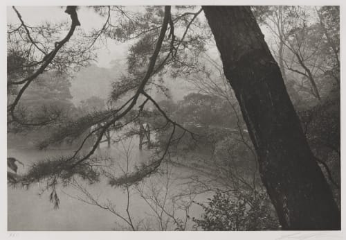 Kyoto, 1979 Friedlander, Lee  (American, b.1934)