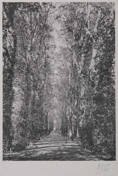 Untitled Geiser, Jean  (Swiss, 1848-1923)