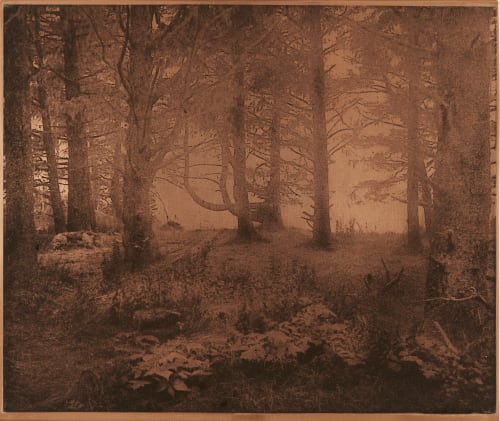 Forest and Fog, Maine Goodman, Jon  (American, b.1953)