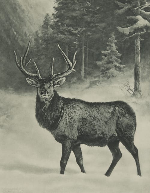 Hochwild Grainer, Franz  (German, 1841-1948)