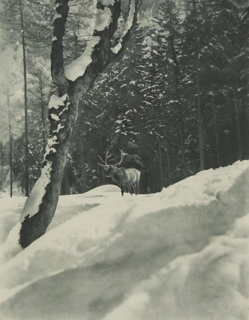 Hochwild Grainer, Franz  (German, 1841-1948)