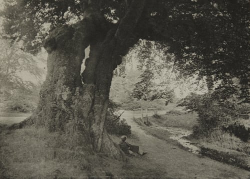 “There at the foot of yonder nodding beech.” Williams, James Leon  (American, 1852-1932)