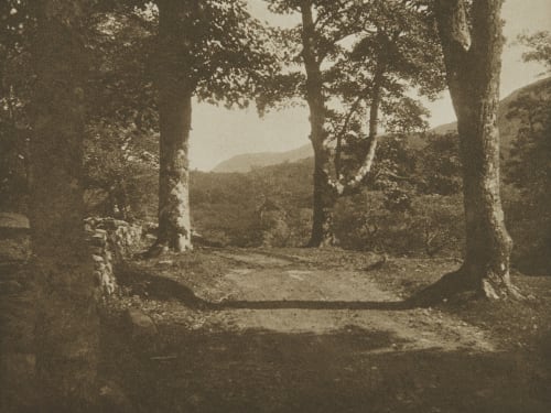 Plate VIII The Valley of the Atro Coburn, Alvin Langdon  (American, 1882-1966)